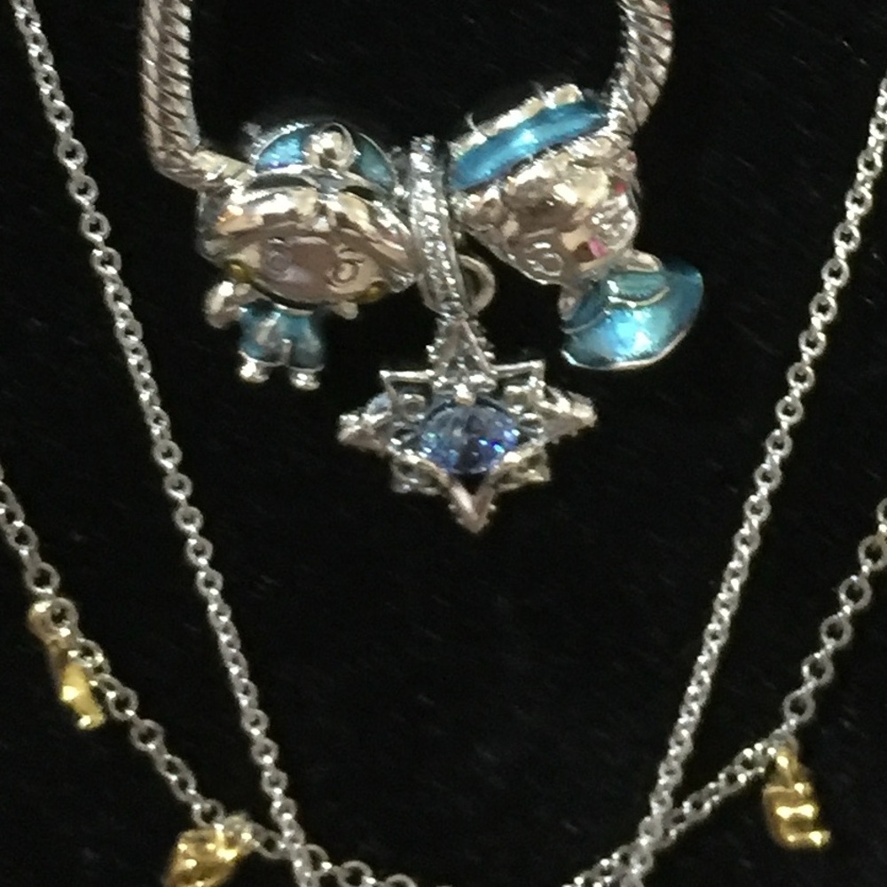 💎Pandora Disney  Jasmine Charm